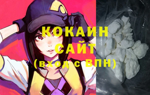 молекула духа Арсеньев