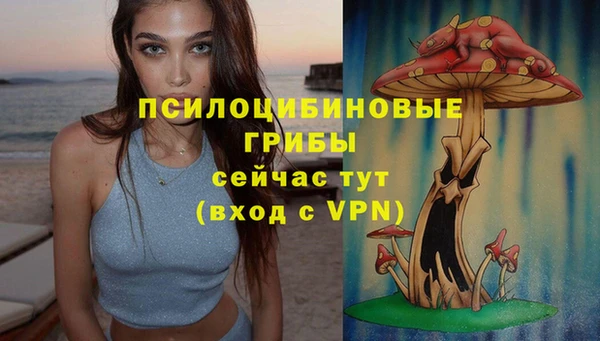 ECSTASY Аркадак