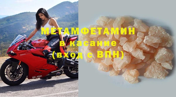 шишки Абаза