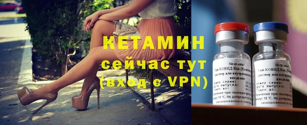 шишки Абаза